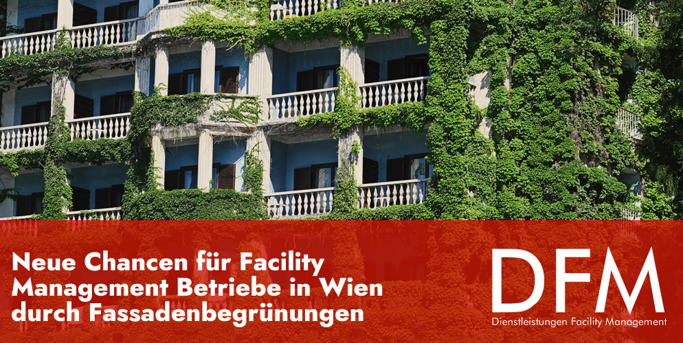 Gute Nachrichten für Gebäudereinigungsbetriebe in Wien: Nachhaltige Fassadenbegrünung bringt neue Chancen